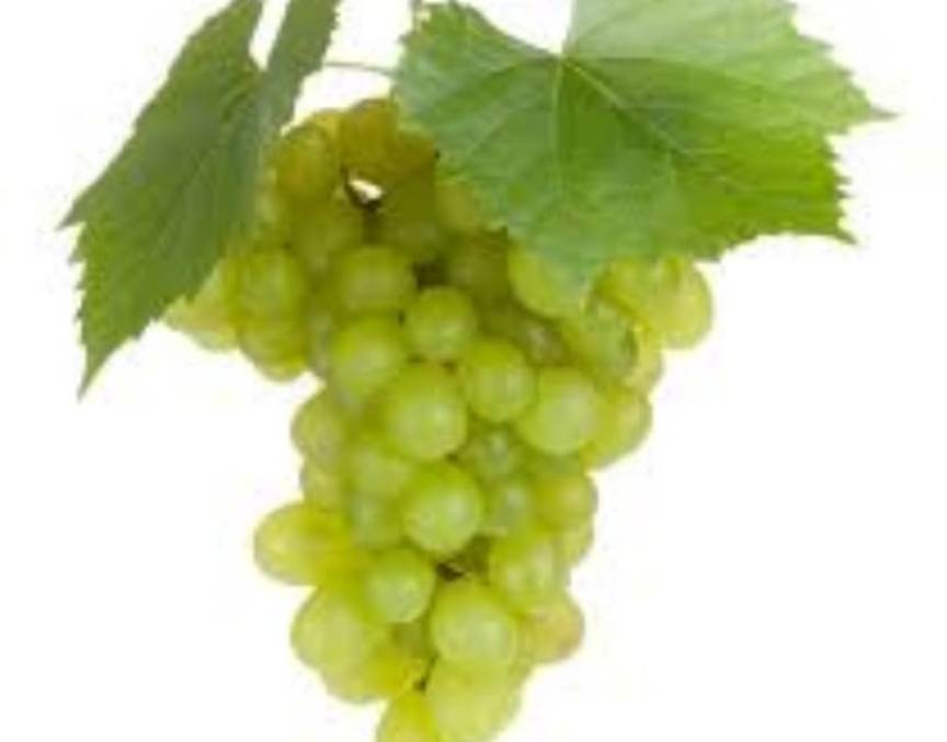 Organic Grapes 